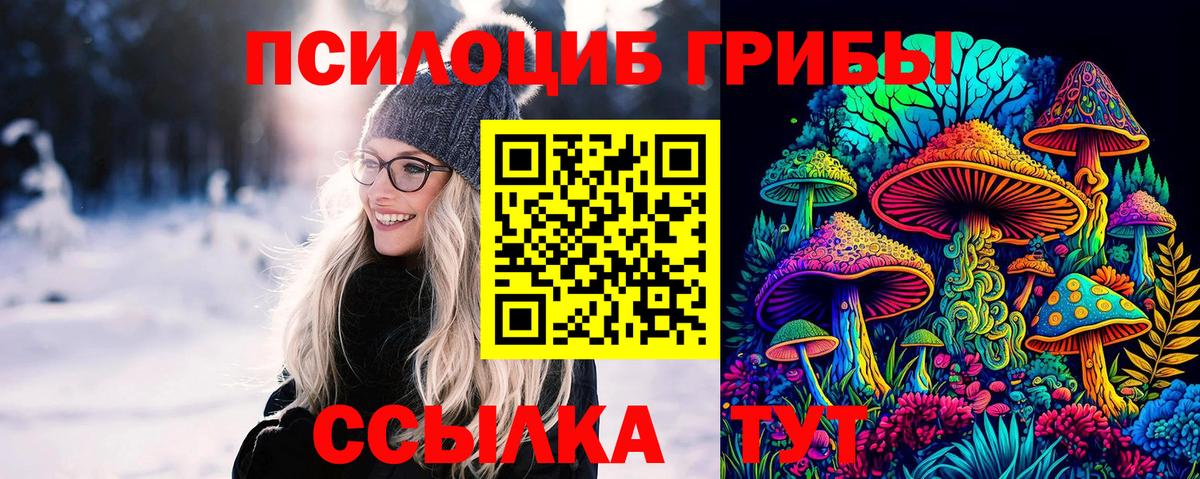 Ковров  Галлюциногенные грибы мицелий  Вход с VPN  Галлюциногенные грибы GOLDEN TEACHER 
